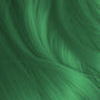 Sage